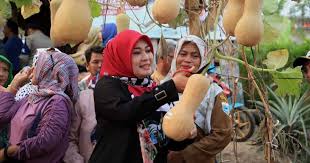 Banyak sebutan taman bunga nusantara yaitu taman bunga nusantara bogor, taman bunga cipanas atau taman bunga puncak. Kampung Jambu Wisata Baru Di Pandeglang Yang Berpotensi Radar Nusantara News