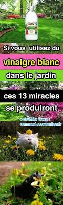 Epingle Sur Jardin