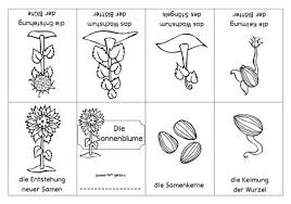 Ahnliches Foto Mit Bildern Projekte Im Kindergarten Sachunterricht Grundschule