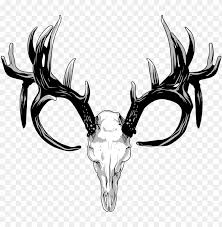 When and where is this movie playing. Drawing Antlers White Tailed Deer Deer Skull Png Image With Transparent Background Toppng