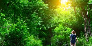 Se poate acoperi o distanta de 1,6 kilometri in 10 pana la 13,6. De Ce Sa Iesiti La O Plimbare Chiar Acum