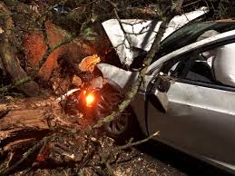 Tesla electric car with no one in driver's seat crashes into tree in us, 2 killed. Tesla Driver S Lucky Escape After Falling Tree Hits Cars During Storm Dennis Bournemouth Echo