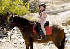 May 31, 2021 · horsepower for kids is an outdoor animal sanctuary and family fun farm located in northwest tampa near oldsmar and westchase. Horse Riding For Kids In Brisbane Families Magazine