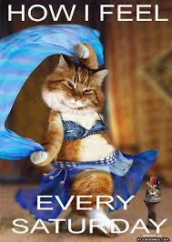 Happy saturday funny images and quotes. Happy Saturday Quotes Funny Quotesgram
