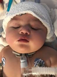 when life sucks, but wattpader(s) sucks better. HAHGAHAHAHAHHAHAjowk^.^