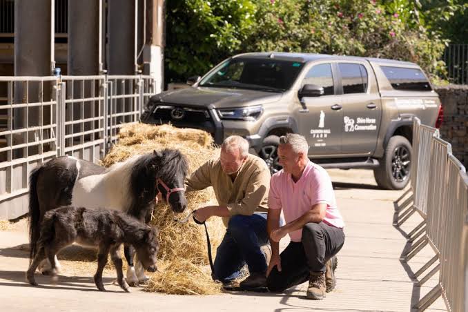 Cannon Hall Farm: horsing around in a Hilux | Toyota UK
