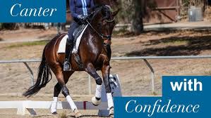 Sitting Trot. Can You Truly Get It Or Improve It If You Don'T Feel It? |  Official Blog By Aspire Equestrian Riding Academy