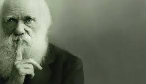 Come farsi male in palestra: la guida completa