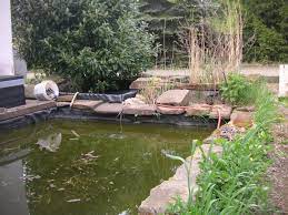 Also included how to make a bog and landscape around the waterfall, stream and pond. How To Connect Ponds At Different Levels Garden Pond Forums