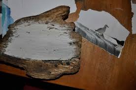 Wie Du Fotos Auf Holz Drucken Kannst Treibholzeffekt Foto Auf Holz Drucken Foto Auf Holz Bilder Auf Holz Drucken