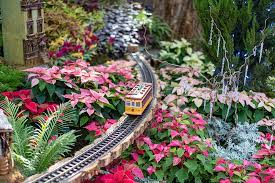 Krohn Conservatory Christmas 2021 Inside Krohn Conservatory S Whimsical Seasonal Display A Crystal Holiday