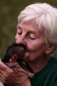 Society for Conservation Biology