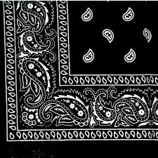 Black And White Paisley Bandana Pin On Paisley