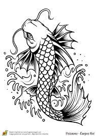resultat de recherche d images pour carpe koi dessin coloriage poisson animaux taupe