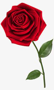 Miriam sang to them and she sings the same verse as verse 1 there, with a little bit of change in the pronoun: Rose Clip Art Bible Verse Scripture Saturday Blessings Transparent Png 4026x6181 Free Download On Nicepng