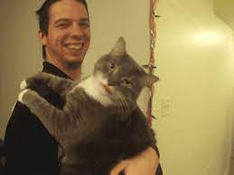 Cat Lick Funny Gif Funny Animals Cute Funny Animals
