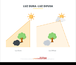 En otras palabras, la luz blanca es una luz compuesta por la superposición de todo el espectro de la luz visible. Luz Dura Consejos Y Trucos Para Dominarla Blog Del Fotografo