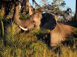 It tells you more about yourself and what your strengths and weaknesses are. Ten Wild Facts About The Big Five Blog Posts Wwf