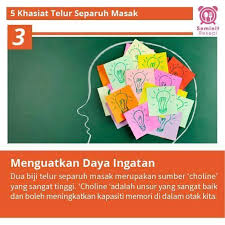 Manfaat konsumsi telur setengah matang telur setengah matang adalah telur yang diolah tidak sampai semua bagian telur mengeras. Goji B Shopee 5 Khasiat Telur Separuh Masak Ramai Yang Facebook