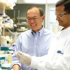 Msk is an equal opportunity and affirmative action employer. Search Uq News Uq News The University Of Queensland Australia
