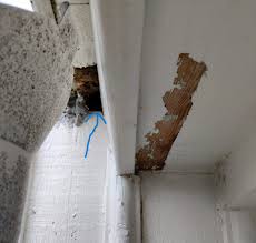 Image result for site:byggahus.se träskada