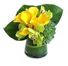 Desert Oasis Floral Art Tropical Flower Arrangements Small Flower Arrangements Home Flowers