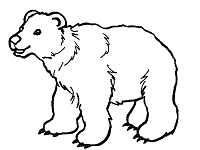 Bear coloring pages for preschoolers. Bears Coloring Pages And Printable Activities
