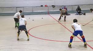 Es una aplicació molt útil per a tots els jugadors i jugadores d'hoquei patins. Primers Entrenaments De La Seleccio D Hoquei Patins Dirigida Per