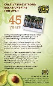 Image result for Avocado Light 1972 Montgomery Ward