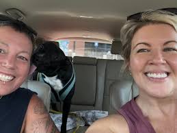 Meet Wilf, this beautiful boy joined our home today. Love him so much  already 💙 (To do tomorrow