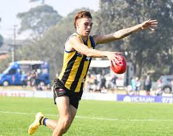 St Kilda young gun Lance Collard shines in the VFL