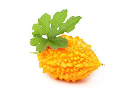 Image result for Momordica balsamina
