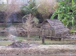 The reason why mein is correct in your example is the 'gender' of the word auto. Mein Haus Mein Auto Mein Pool Foto Bild Architektur Lost Places Motive Bilder Auf Fotocommunity