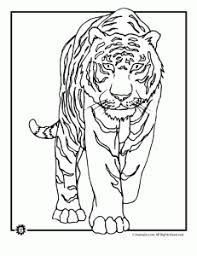 Color the giraffe coloring page. Tiger Coloring Pages Animal Coloring Pages Animal Jr Animal Coloring Pages Animal Coloring Books Animal Coloring Page