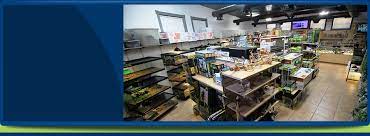 Yearly fecal examination for parasites, yeast, and abnormal bacteria. Herp Hobby Shop Exotic Pet Store Oldsmar Fl
