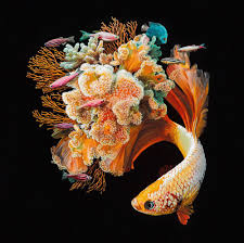 Hyperrealistic Depictions Of Fish Merged With Their Coral Environments By Lisa Ericson Peintures De Poissons Peinture Les Arts