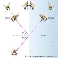 C=fλ c = speed of light = 3.0 x 10 8 m/s in a vacuum = 300,000 km/s = 186,000 miles/s. Light Reflection And Refraction Britannica