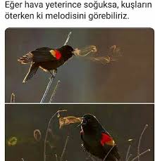 Water Drop Up Adli Kullanicinin My Saves Panosundaki Pin 2020 Bilgi Bilgi Alintilari Hayvanlar