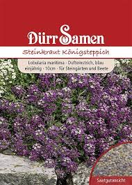 Pin Auf Blumen Saatgut