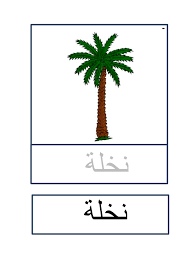 تطابق كلمة بكلمة وحدة الرمل Arabic Alphabet For Kids Alphabet For Kids Preschool Literacy
