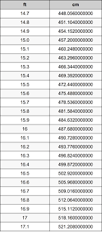 15.9 Feet To Centimeters Converter | 15.9 ft To cm Converter