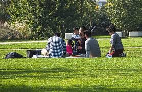 Goethite is an iron oxyhydroxide containing ferric iron. Essay On A Picnic With Family For Students And Children 500 Words Essay