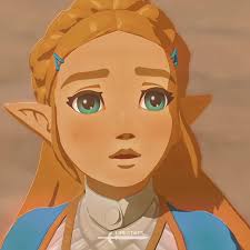 Hair Memory Zelda