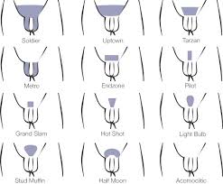 A fun guide to pubic hair styles for men and women. Fa Fashion