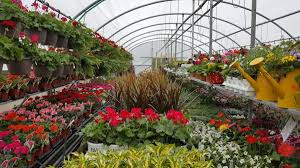 Dutch meadows garden center & landscaping, in pella, iowa, is the areas premier garden center and full service landscaping company serving all of pella, oskaloosa, and knoxville since 1989. The Mom And Pop Garden Center Going The Extra Mile For Customers Bring Me The News