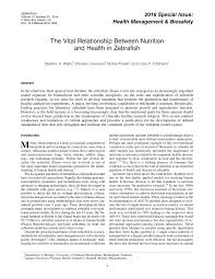 Here's a breakdown of those choices, and a look at their pros and cons. Pdf The Vital Relationship Between Nutrition And Health In Zebrafish