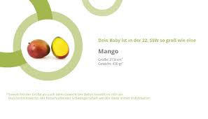 Lekebaby baby wickelrucksack wickeltasche mit wickelunterlage multifunktional große kapazität. 22 Ssw 22 Schwangerschaftswoche Tag 148 154