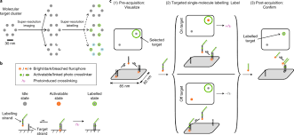 Open your image in ms paint. Super Resolution Labelling With Action Paint Nature Chemistry