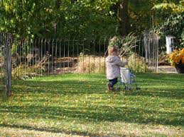 Kindersicherer Teichzaun Im Garten Ich Haben An Einem Tag Die Gartenteiche Mit Den Einzelnen Staben In Der Lange Von 20m Eingezaunt Wi Mit Bildern Teich Zaun Gartenteich