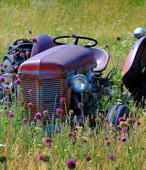 David Larry Copas Obituary January 18, 2025